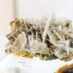 Program special de Paste la Muzeul Judetean de Mineralogie Victor Gorduza