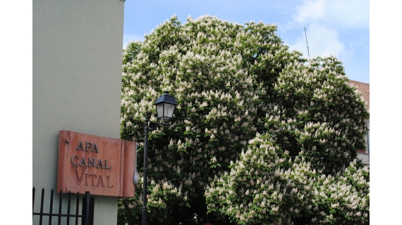 Programul casierilor VITAL S.A pentru Ziua de 1 Mai