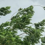 avertizare meteorologica privind vantul ploile si ninsorile la munte in zilele urmatoare
