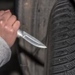 ordin de protectie incalcat la sieu barbat investigat pentru ca a intrat in curte si a distrus un autoturism