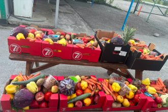 Produse alimentare salvate de la risipa au fost impartite in 10 familii din Maramures