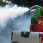 Atentie baimareni Dezinsectia incepe in Baia Mare Tratamentele se efectueaza pe timpul noptii