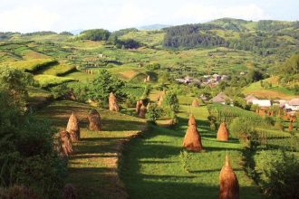 Avem OMD avem Maramures unde sunt turistii