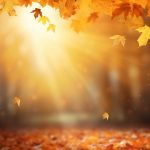 Caldura se intoarce in septembrie ANM anunta temperaturi mai ridicate decat normal in majoritatea tarii