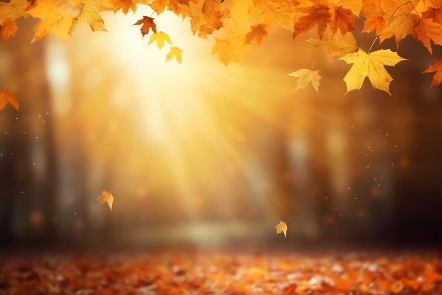 Caldura se intoarce in septembrie ANM anunta temperaturi mai ridicate decat normal in majoritatea tarii