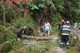 Copac cazut pe strada Valea Neagra Pompierii intervin pentru curaterea drumului foto