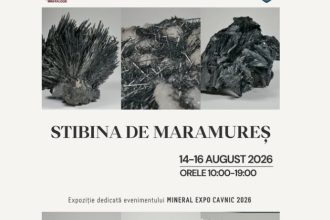 Expoziia Mineral Cavnic 2026 Stibina de Maramure vedeta florilor de min