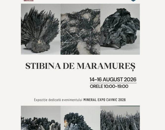 Expoziia Mineral Cavnic 2026 Stibina de Maramure vedeta florilor de min