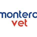 MONTEROVET BAIA MARE recruteaza CONTABIL CU EXPERIENDA EXPERT CONTABIL CU EXPERIENDA Fulltime activitate la sediul companiei