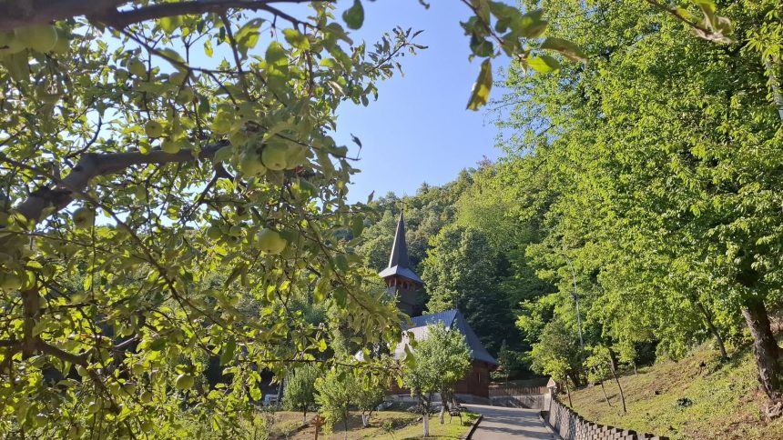 Pelerinaj dedicat Maicii Domnului la Manastirea Sfanta Maria din Baia Mare Programul festivitatilor din 14 15 august