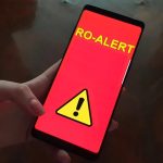 Ursul identificat in Baia Mare nu a fost localizat Echipele au perchezitionat zona Barajului Herja