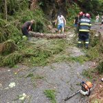 Vantul puternic genereaza probleme in Maramures copaci cazuti si risc dupa ce o creanga a cazut peste o conducta de gaz
