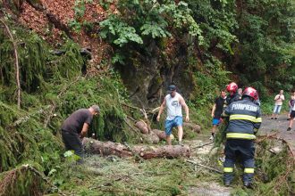 Vantul puternic genereaza probleme in Maramures copaci cazuti si risc dupa ce o creanga a cazut peste o conducta de gaz