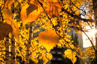 prognoza meteo pana in septembrie anm informeaza ca temperaturile vor fi superioare normalului in vestul si centrul tarii
