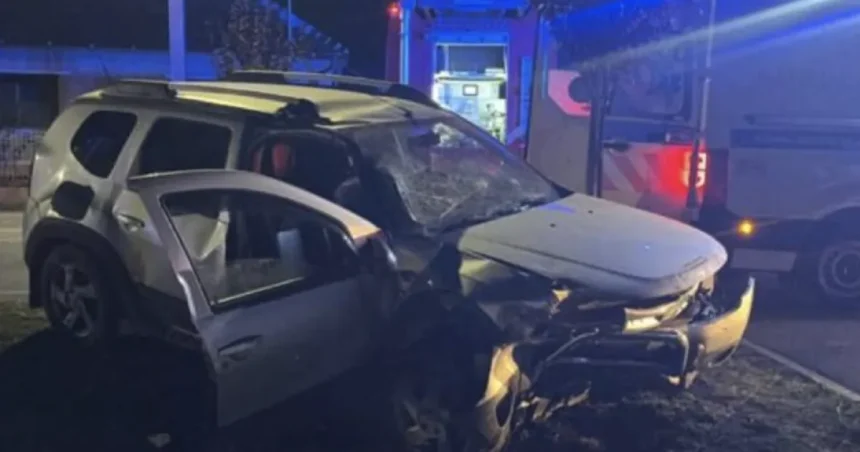 Accident mortal la Seini: un șofer de 39 de ani a murit după ce s-a răsturnat cu mașina