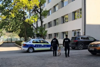 Campanie antidrog și antiviolență în școlile din Baia Mare