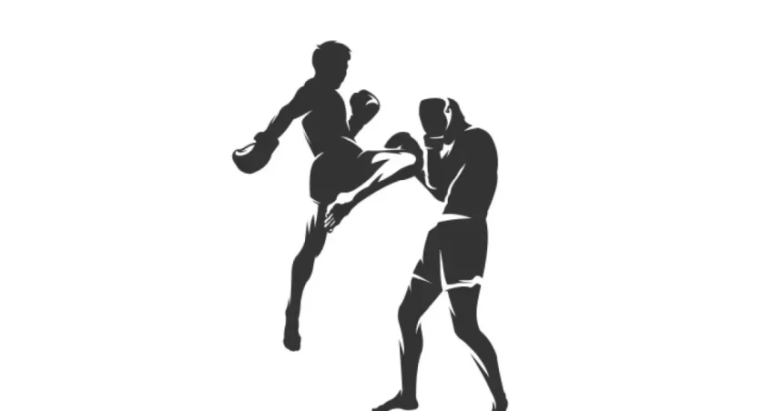 Cupa A.C.S Kickbox Baia Mare revine cu ediția a VI-a. Zece centuri, puse în joc