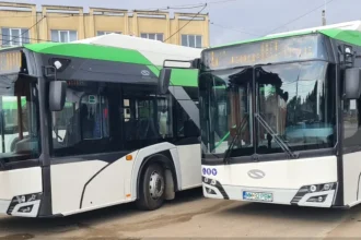 Curse suplimentare de transport public în Baia Mare de Sărbătoarea Castanelor
