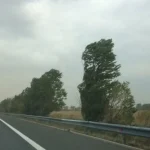Meteorologii anunță vânt în mai multe regiuni până miercuri seară