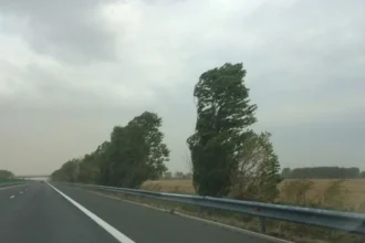 Meteorologii anunță vânt în mai multe regiuni până miercuri seară