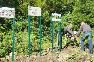 Panouri pentru protejarea biodiversității, amplasate în Parcul Național Munții Rodnei
