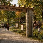 Parcul Castanilor: natură, identitate și spațiu pentru comunitatea din Baia Mare