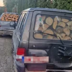 Polițiștii au oprit transporturi de lemn la Săpânța și Sarasău. Ce nereguli au descoperit