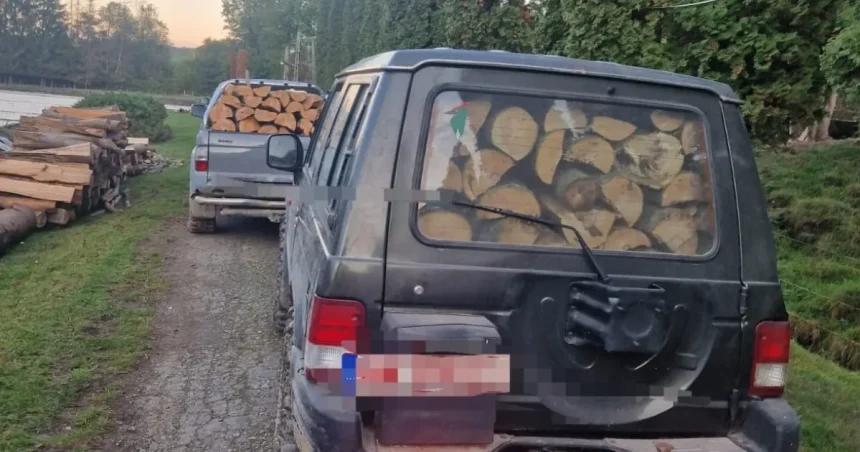 Polițiștii au oprit transporturi de lemn la Săpânța și Sarasău. Ce nereguli au descoperit