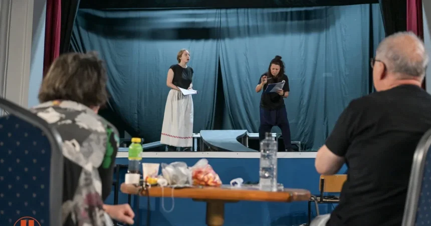 Premieră magică la Baia Mare: „Vrăjitorul din Oz” prinde viață pe scenă