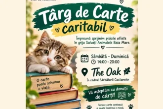 Târg caritabil cu cărți în acest weekend pentru băimăreni