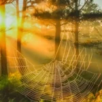 Vara indiană în Maramureș: temperaturi de până la 24 de grade și vreme frumoasă