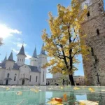 Weekend în Maramureș: evenimente în Baia Mare și județ, azi și mâine