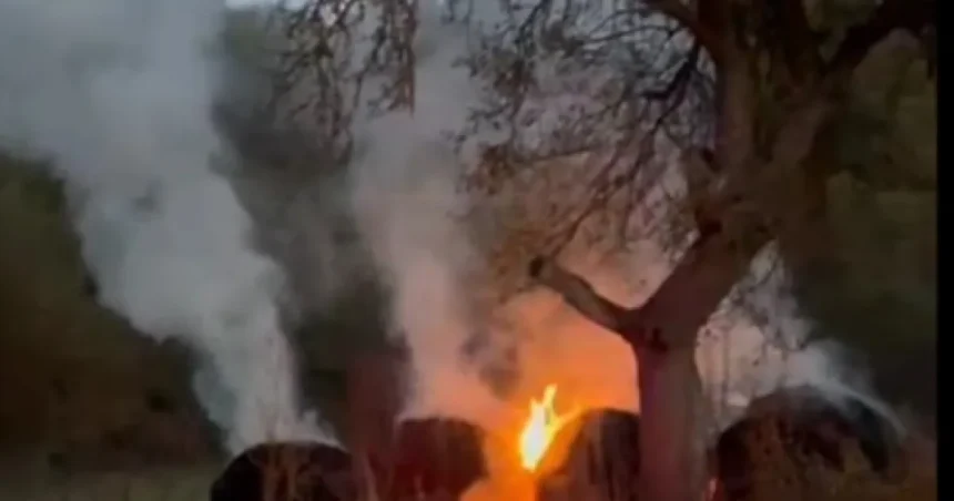 Incendiu văzut de jandarmi în zorii zilei, între Rohia și Boiereni